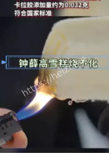 钟薛高雪糕烧不化