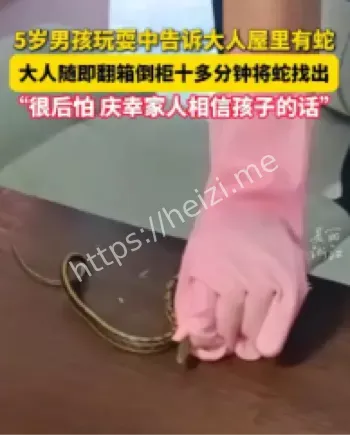 5岁男孩玩耍发现屋内蛇